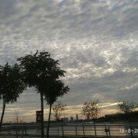 董天羽