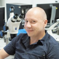 Uwe Seufert