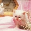 swathi p