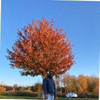 Srikanth A