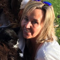 Trine Skaug Væråmoen