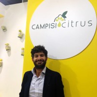 Nino Campisi
