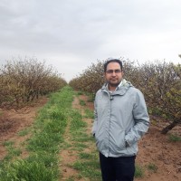 Mohammad Akbari