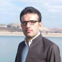 Reza Jamali