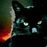 Magaly Juárez Bahena