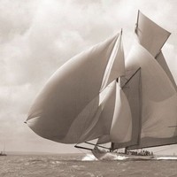 Taco Visser