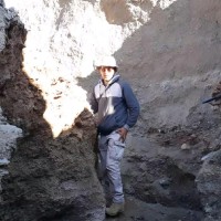 Vahid Sheibani
