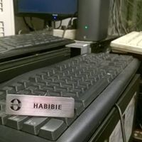 Mochammad Habiebie