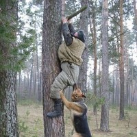 Борис Строцкий