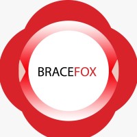 Bracefox Consultants