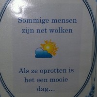 Ton Van Bergenhenegouwen