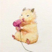 吴晨晨