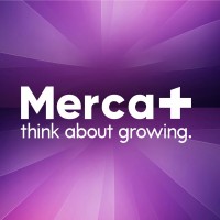 María E. Villafaña Sosa