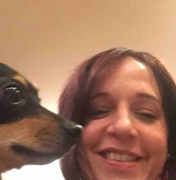 stacy avigael mittler