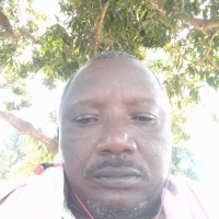 Emeka Kingsley