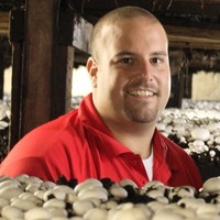 Joseph D'Amico Jr