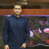 Alaa Ganema