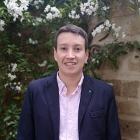 Diego Nicolás Suárez Ballesteros
