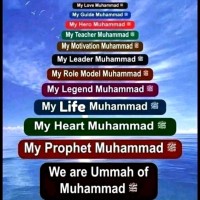 Muhammad Abdul Majeed