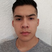 Enrique Velázquez Rojas