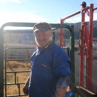 Dvm Wayne A. Steiger