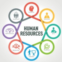 human resources