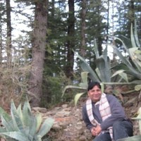 Parthsarthi Mishra