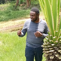 Selvester Angwenyi