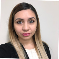 Diana M. Wilkins Mha, Msw, Lcsw