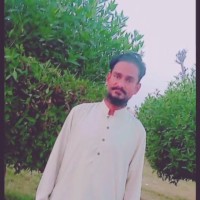 Arif M Arif