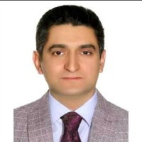 Mohamad Fatolahi,Pmp®