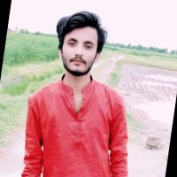 Sheraz Majeed