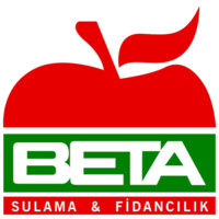 Beta Fidan