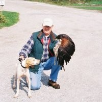 Harry Wamboldt
