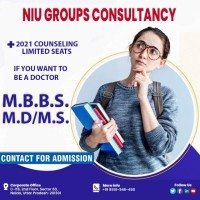 NIU GROUP CONSULTANCY