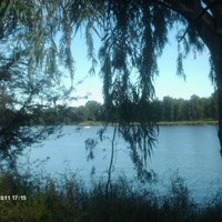 vejaylutchmee Elrefaey