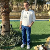 Alaa Arif