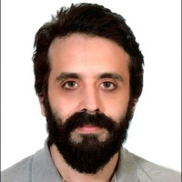Soheil Razavi