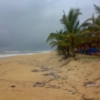 Chandy S