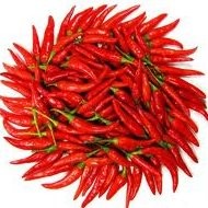 Chithra Exports And Imports