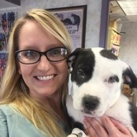 Amy Halvorson