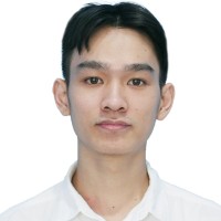 Hoang Lam Do