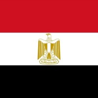 Mohamed El Gazar