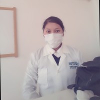 veronica parra quispe