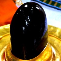 Chhotu Jhandul