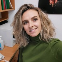 Vlada Baumberg