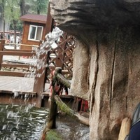 刘长雨