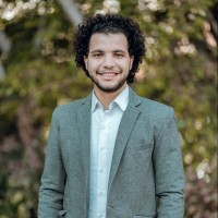 Amr Edrees