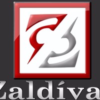 MARIO A ZALDIVAR S