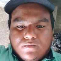 Michael Andres Maji Silva